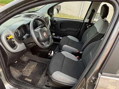 Usata Fiat Panda City Life 69 CV (50 kW) 2022 Marrone Utilitaria
