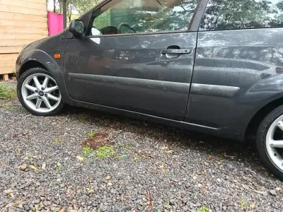 Usata Ford Fiesta