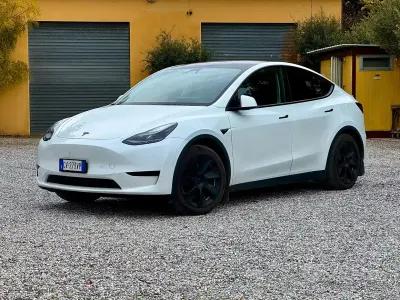 Usata Tesla Model Y RWD 114 kW (155 CV) 2024 Bianco SUV