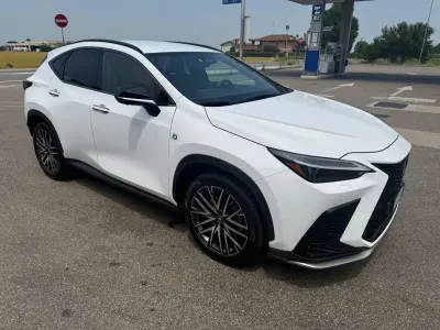 Usata Lexus NX450h+ Sport Line 309 CV (227 kW) 2022 Bianco perla met. SUV