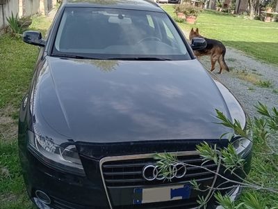 usata Audi A4 A4 2.0 TDI 120CV F.AP. Start