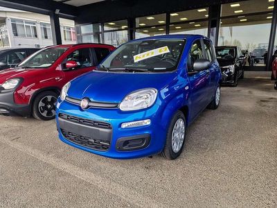 Nuova Fiat Panda Icon 69 CV (50 kW) 2025 Blu/azzurro Utilitaria