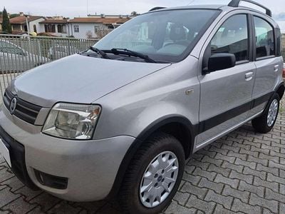 Usata Fiat Panda 4x4 Climbing 60 CV (44 kW) 2006 Grigio argento vivo met. Utilitaria