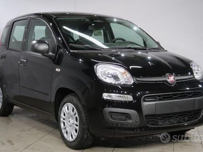 Usata Fiat Panda S 70 CV (51 kW) 2024 Nero Utilitaria