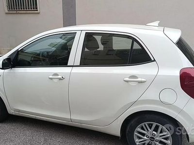 Occasion Kia Picanto 2024 Blanc Citadine