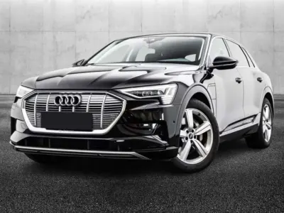 Usata Audi e-tron Business 158 kW (215 CV) 2021 Nero SUV