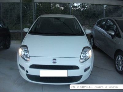 usata Fiat Punto 1.2 8V 5 porte Young