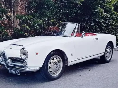 Usata Alfa Romeo Giulia Spider 92 CV (67 kW) 1963 Bianco Cabrio