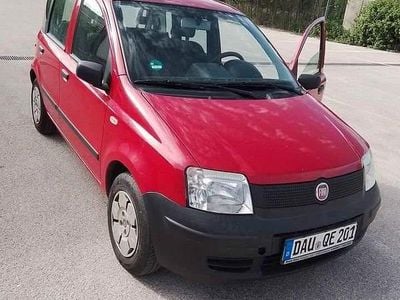 Usata Fiat Panda 54 CV (39 kW) 2009 Rosso Utilitaria