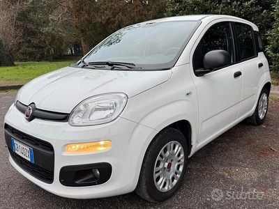 Usata Fiat Panda Easy 69 CV (50 kW) 2020 Bianco Utilitaria