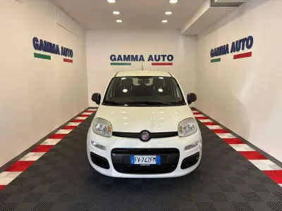 Usata Fiat Panda 69 CV (50 kW) 2019 Gelato Utilitaria