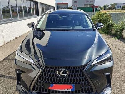Usata Lexus NX350h 190 CV (139 kW) 2024 SUV