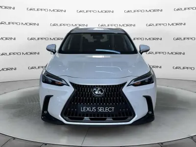 Usata Lexus NX450h+ 292 CV (214 kW) 2025 Other SUV