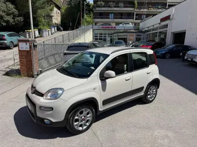 Usata Fiat Panda 4x4 S 95 CV (69 kW) 2016 Beige Utilitaria
