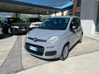 Usata Fiat Panda Easy 69 CV (50 kW) 2018 Grigio Utilitaria