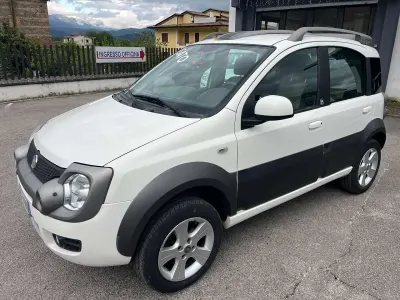 Usata Fiat Panda 4x4 Cross 75 CV (55 kW) 2011 Bianco Utilitaria