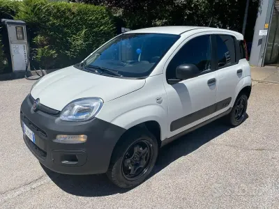 Usata Fiat Panda 4x4 Pop 86 CV (63 kW) 2022 Bianco Utilitaria