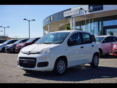 Usata Fiat Panda 69 CV (50 kW) 2024 Bianco divino Utilitaria
