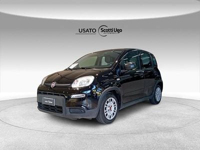 Usata Fiat Panda City Life 70 CV (51 kW) 2023 Nero Utilitaria