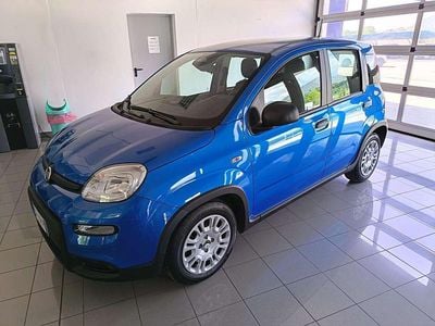 Usata Fiat Panda S 69 CV (50 kW) 2024 Blu misano Utilitaria