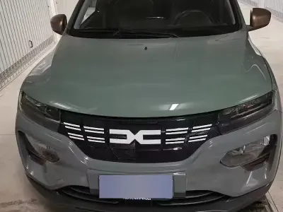 Usata Dacia Spring 18 kW (25 CV) 2023 Verde Utilitaria
