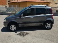 Usata Fiat Panda 4x4 75 CV (55 kW) 2013 Grigio Utilitaria