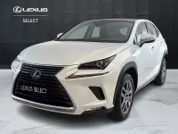 Usata Lexus NX300h 155 CV (114 kW) 2021 Bianco SUV
