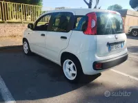 Usata Fiat Panda 95 CV (69 kW) 2016 Utilitaria