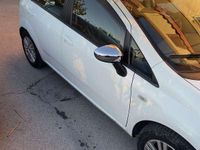 Usata Fiat Punto Easy 75 CV (55 kW) 2012 Utilitaria
