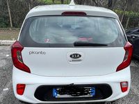 Usata Kia Picanto 2020 Bianco Utilitaria