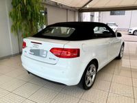 usata Audi A3 Cabriolet sline