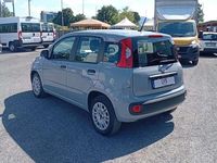 Usata Fiat Panda Easy 69 CV (50 kW) 2020 Grigio Utilitaria