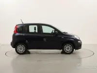 Usata Fiat Panda Easy 69 CV (50 kW) 2021 Bluazzurro Utilitaria