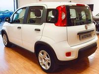 Usata Fiat Panda S 70 CV (51 kW) 2024 Bianco Utilitaria