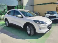 Usata Ford Kuga Business Edition 120 CV (88 kW) 2021 Bianco SUV