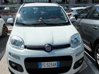 Usata Fiat Panda 85 CV (62 kW) 2016 Bianco Utilitaria