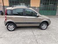 Usata Fiat Panda 4x4 75 CV (55 kW) 2011 Utilitaria