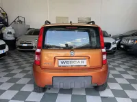 Usata Fiat Panda 4x4 Climbing 60 CV (44 kW) 2007 Bronzo Utilitaria