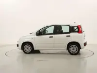 Usata Fiat Panda 69 CV (50 kW) 2020 Bianco Utilitaria
