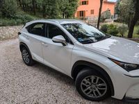 Usata Lexus NX300h Executive Line 155 CV (114 kW) 2015 Bianco SUV