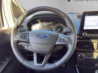 Usata Ford Ecosport Titanium 125 CV (91 kW) 2021 Grigio SUV