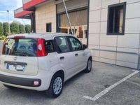 Usata Fiat Panda Easy 69 CV (50 kW) 2016 Beige Utilitaria