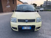 Usata Fiat Panda 4x4 Climbing 69 CV (50 kW) 2006 Giallo Utilitaria