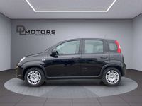 Usata Fiat Panda Icon 69 CV (50 kW) 2024 Nero Utilitaria