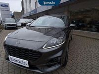 Usata Ford Kuga ST-Line X 225 CV (165 kW) 2023 Grigio metallizzato SUV