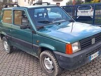 Usata Fiat Panda 4x4 Trekking 54 CV (39 kW) 2000 Verde Utilitaria