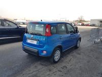 usata Fiat Panda Panda 1.0 70cv hybrid