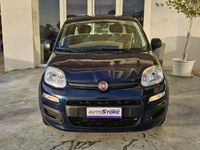 Usata Fiat Panda Easy 95 CV (69 kW) 2018 Bianco pastello Utilitaria