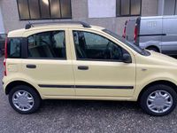 Usata Fiat Panda Dynamic 60 CV (44 kW) 2009 Giallo Utilitaria
