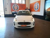 usata Ford Fiesta 1.0 Ecoboost 100 CV 5 porte Titanium